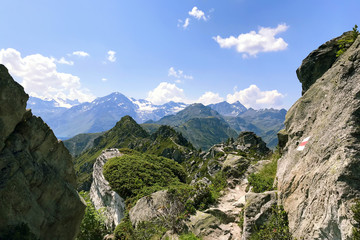 Fototapeta na wymiar In the mountains of Switzerland.