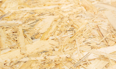 Texture of OSB panel. Close up.