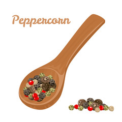 Peppercorns in wooden spoon isolated on white background. Vector illustration of hot fragrant spices in cartoon flat style.