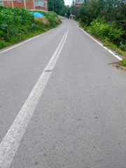 Asphalt road in the middle of trees on background blue sky
