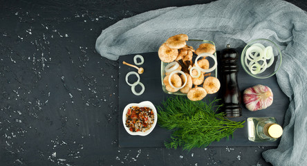 Fresh mushrooms with spices and herbs on black board. View from above. Copy space.