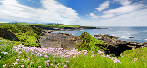 Spectacular View Mullaghmore Head With