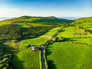 Tuinposter Luchtfoto van eindeloze weelderige weiden en landerijen van Ierland. Prachtig Iers landschap met groene velden en weiden. Landelijk landschap op zonsondergang. © MNStudio