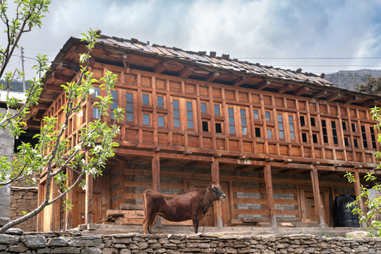 The traditional himachal house in Reckong Peo