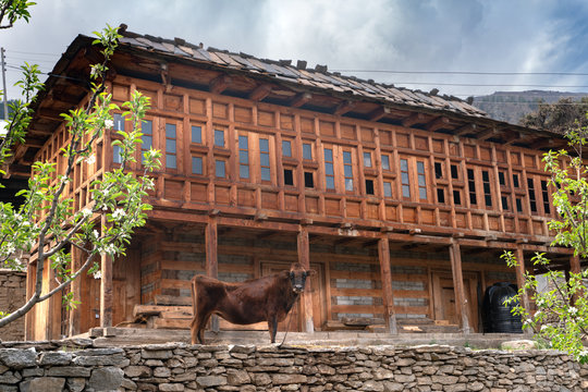 The traditional himachal house in Reckong Peo