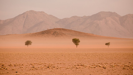 Namib Rand Reserve national park, a waste and sparsely populated area at the end of the desert with...