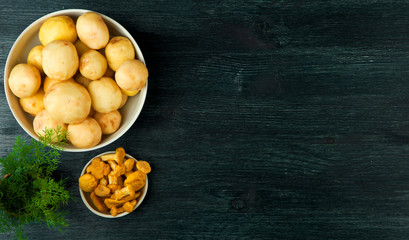 Fresh mushrooms with spices and herbs on black board. View from above. Copy space.