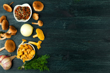 Fresh mushrooms with spices and herbs on black board. View from above. Copy space.