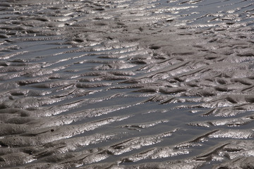 Schöne Rippel im Sandwatt