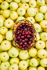 Yellow ripe apples, pile of fresh apple fruits, basket with cherries