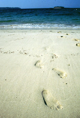Fototapeta na wymiar playa huelllas