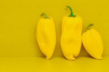 Three yellow bell peppers on yellow background