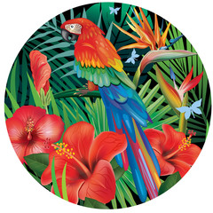 Naklejki  Tło z roślinami tropikalnych dżungli i papugą
