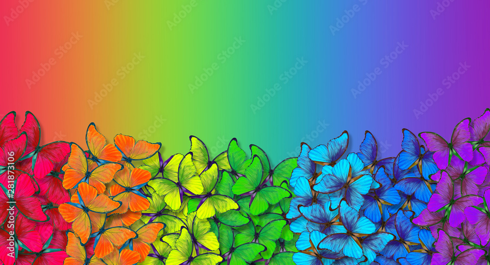 Aufkleber Rainbow spectrum. Colors of rainbow. Pattern of multicolored butterflies morpho texture background. multicolored natural abstract pattern. Copy spaces