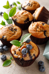 Blueberry muffins with fresh berries