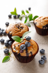 Blueberry muffins with fresh berries