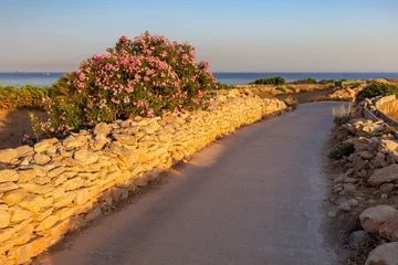 Fototapete Rund Marsashlok. Typical Maltese landscape at sunset. © pillerss