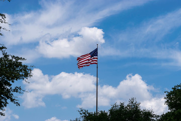 US flag rising above the trees and rippling in the wind