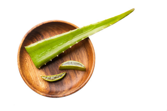 Fresh green Aloe vera with sliced - Text space