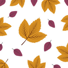 An abstract Autumn theme artistic background . Autumn leaves on white paper.