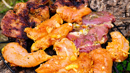 Assorted delicious grilled meat on a barbecue . Selective focus of juicy tasty steaks grilling on barbecue grill grade with flame . 