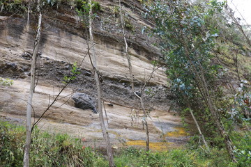 naturaleza