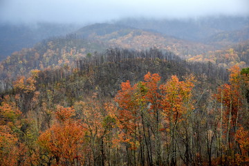 Fototapeta premium autumn in the mountains