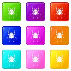 Fototapeta na wymiar Spider icons set 9 color collection isolated on white for any design