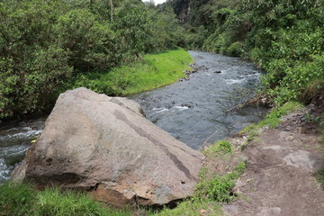 Obraz premium naturaleza