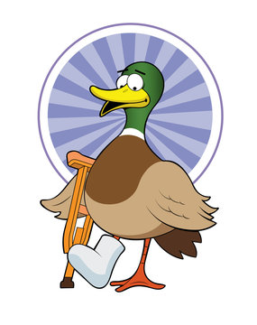 Lame Duck Images – Browse 276 Stock Photos, Vectors, and Video | Adobe ...