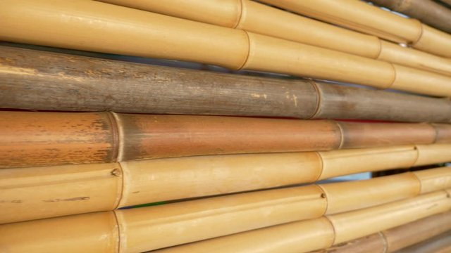 natural texture background. bamboo fence