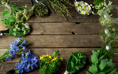 Fresh medicinal herbs. Medicinal herbs (chamomile, wormwood, yarrow, mint, St. John's wort and chicory) on an old wooden board. View from above. Copy space