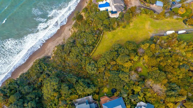 Aerial View from the Beach, Green Trees   and Cliff of Orewa in New Zealand - Auckland Area