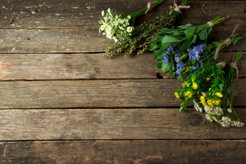 Fresh medicinal herbs. Medicinal herbs (chamomile, wormwood, yarrow, mint, St. John's wort and chicory) on an old wooden board. View from above. Copy space
