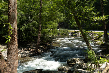 Obraz premium Whitewater rapids of a mountain stream