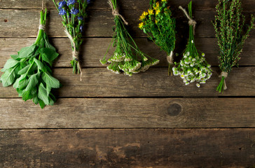 Fresh medicinal herbs. Medicinal herbs (chamomile, wormwood, yarrow, mint, St. John's wort and...