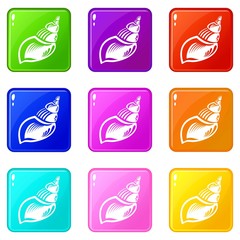 Wild shell icons set 9 color collection isolated on white for any design