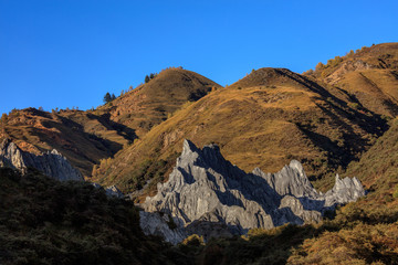 Bamei stone forest, exotic pillars of gray stone situated in the grasslands of Sichuan Province, China. Unique rock formations with clouds in the distant background. Martian Tibetan Landscape