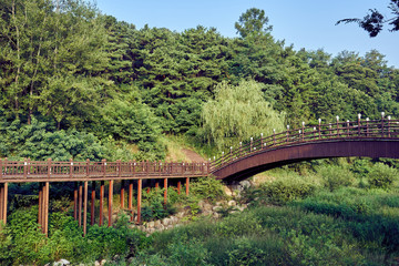 Fototapeta na wymiar A view of wooden paths leading into the forest in Uirimji Reservoir at Jechun, South Korea.