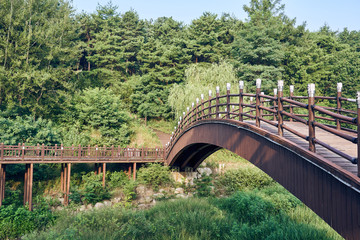 A wooden bridge and pathway all leading into the forest in Uirimji Reservoir at Jechun, South Korea.