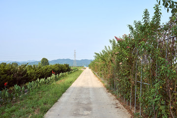 Fototapeta na wymiar A view of the peaceful countryside with a road leading straight to the horizon in Jechun, South Korea.