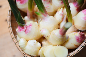 Ginger root harvest on the basket - Fresh young ginger for herb medicinal natural and food