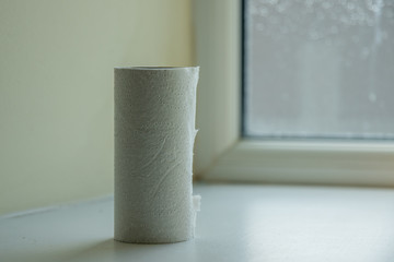 Last of the toilet paper