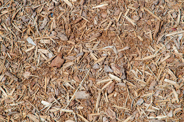 Ground