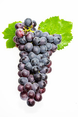 A bunch of fresh purple grapes