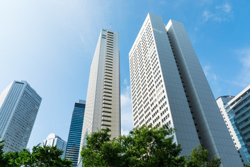 Fototapeta na wymiar (東京都ｰ都市風景)夏空の下の新宿高層ビル群６