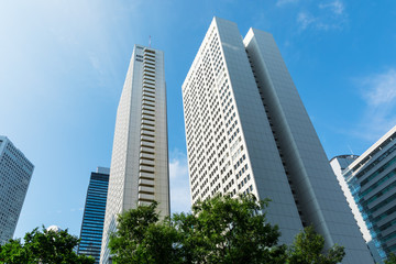 Fototapeta na wymiar (東京都ｰ都市風景)夏空の下の新宿高層ビル群７