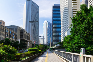 (東京都ｰ都市風景)夏空の下の新宿高層ビル群９