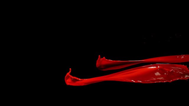 Super slow motion of flying abstract red splashes on black background. Filmed on high speed cinema camera, 1000 fps.