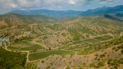 Crimea landscape: aerial view of vineyards in the lowlands of the mountain. Crimean vineyards.